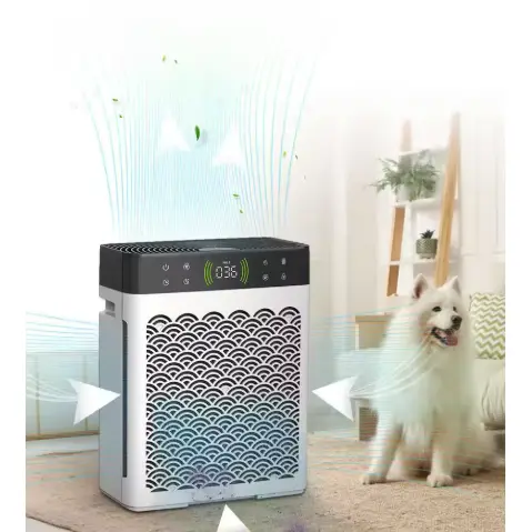 Purificatori d'aria UV con filtri a carboni attivi